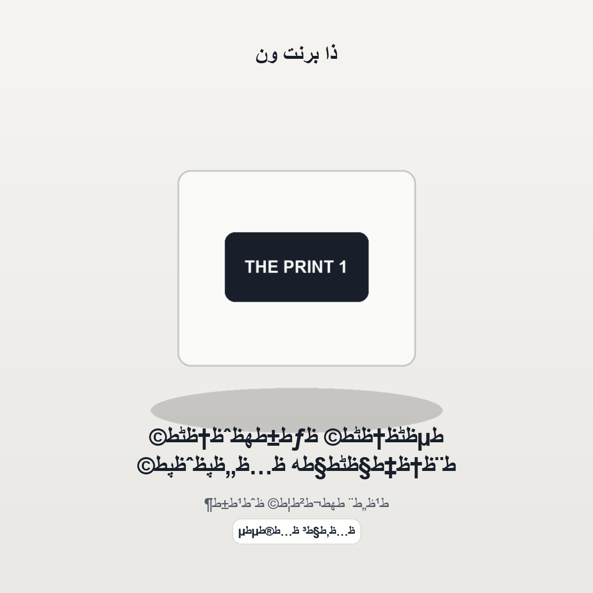 طµظٹظ†ظٹط© ظƒط±طھظˆظ†ظٹط© ط¨ظ†ظ‡ط§ظٹط§طھ ظ…ظ„ظپظˆظپط© - موكاب المنتج
